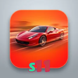 s11